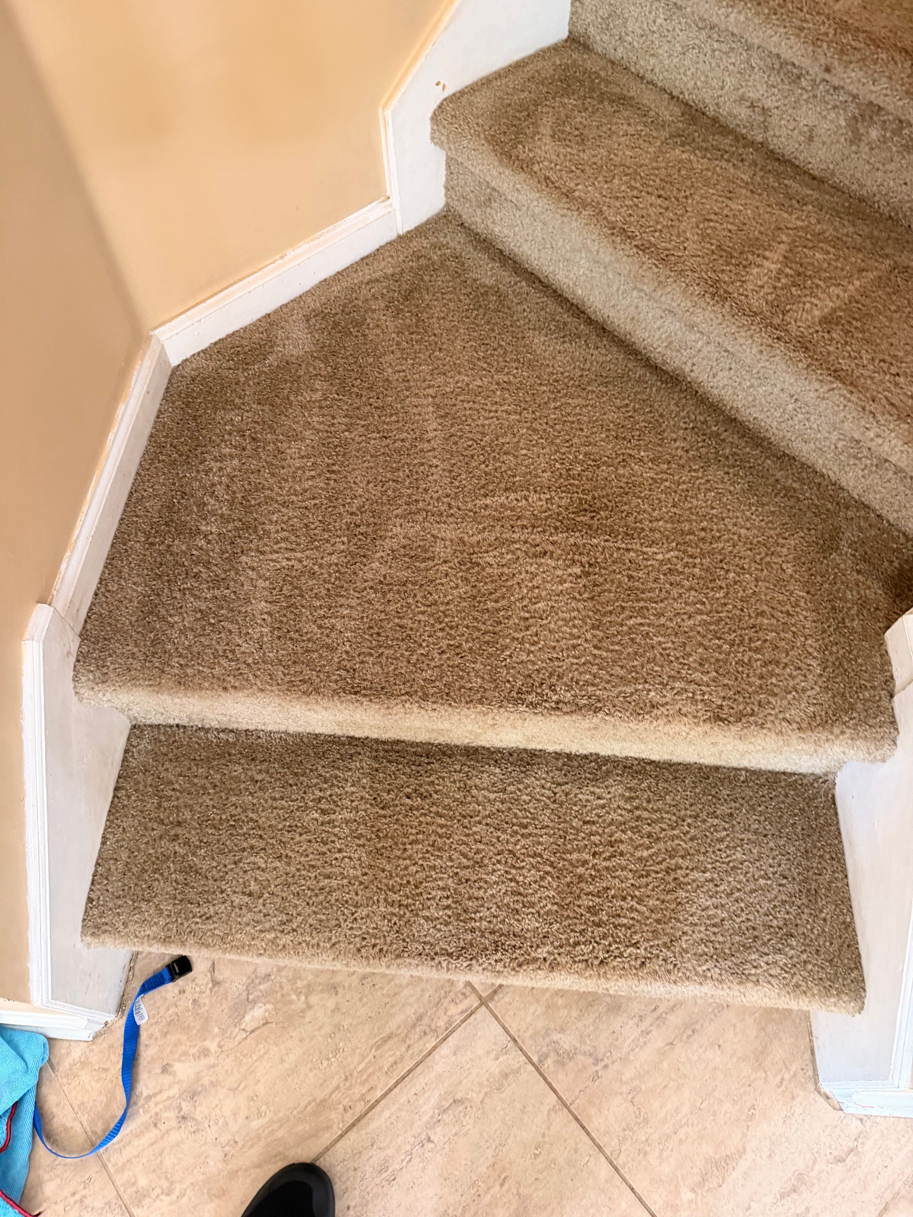 Carpeted stairs after professional cleaning in Jacksonville, FL