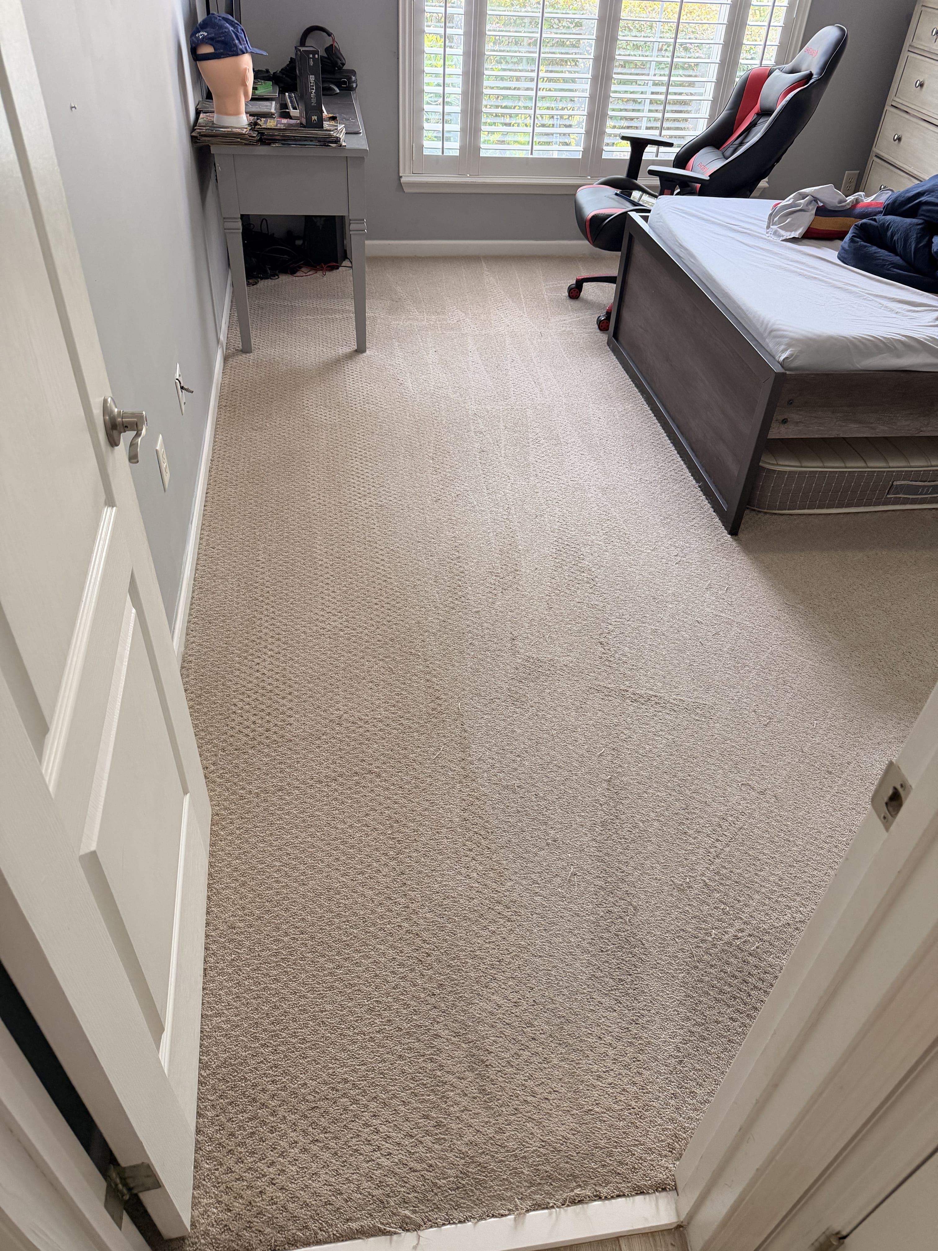Pet hair on carpet after professional cleaning in Jacksonville, FL