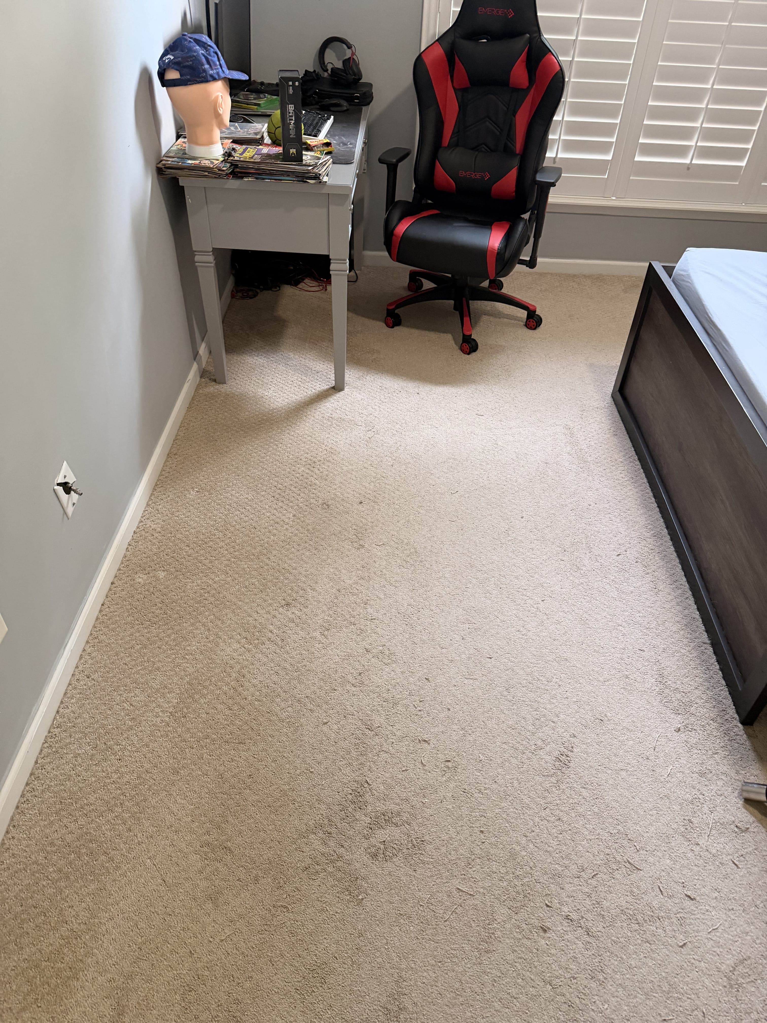 Pet hair on carpet before professional cleaning in Jacksonville, FL