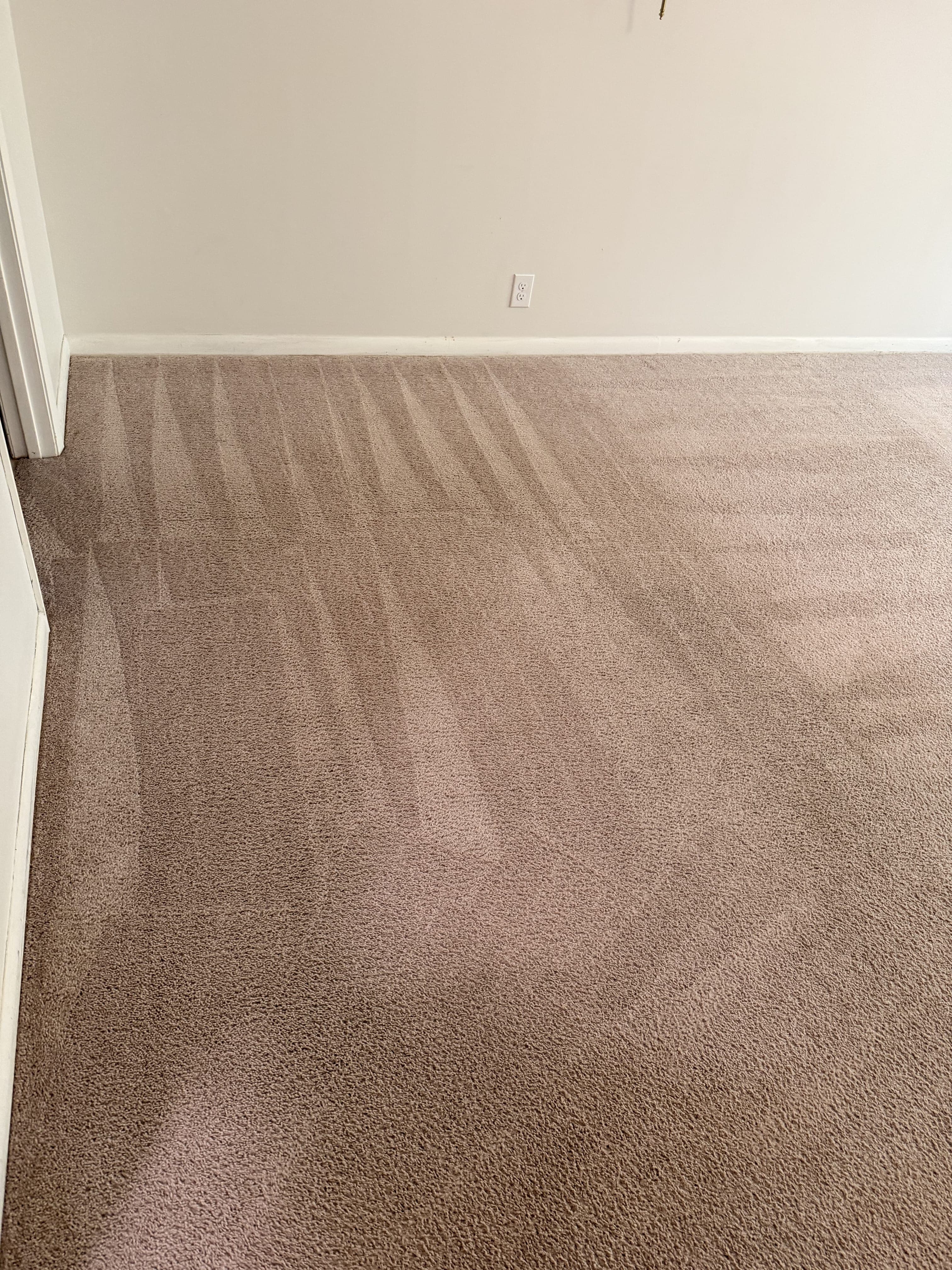 Pet odor and stain carpet after cleaning in Jacksonville, FL