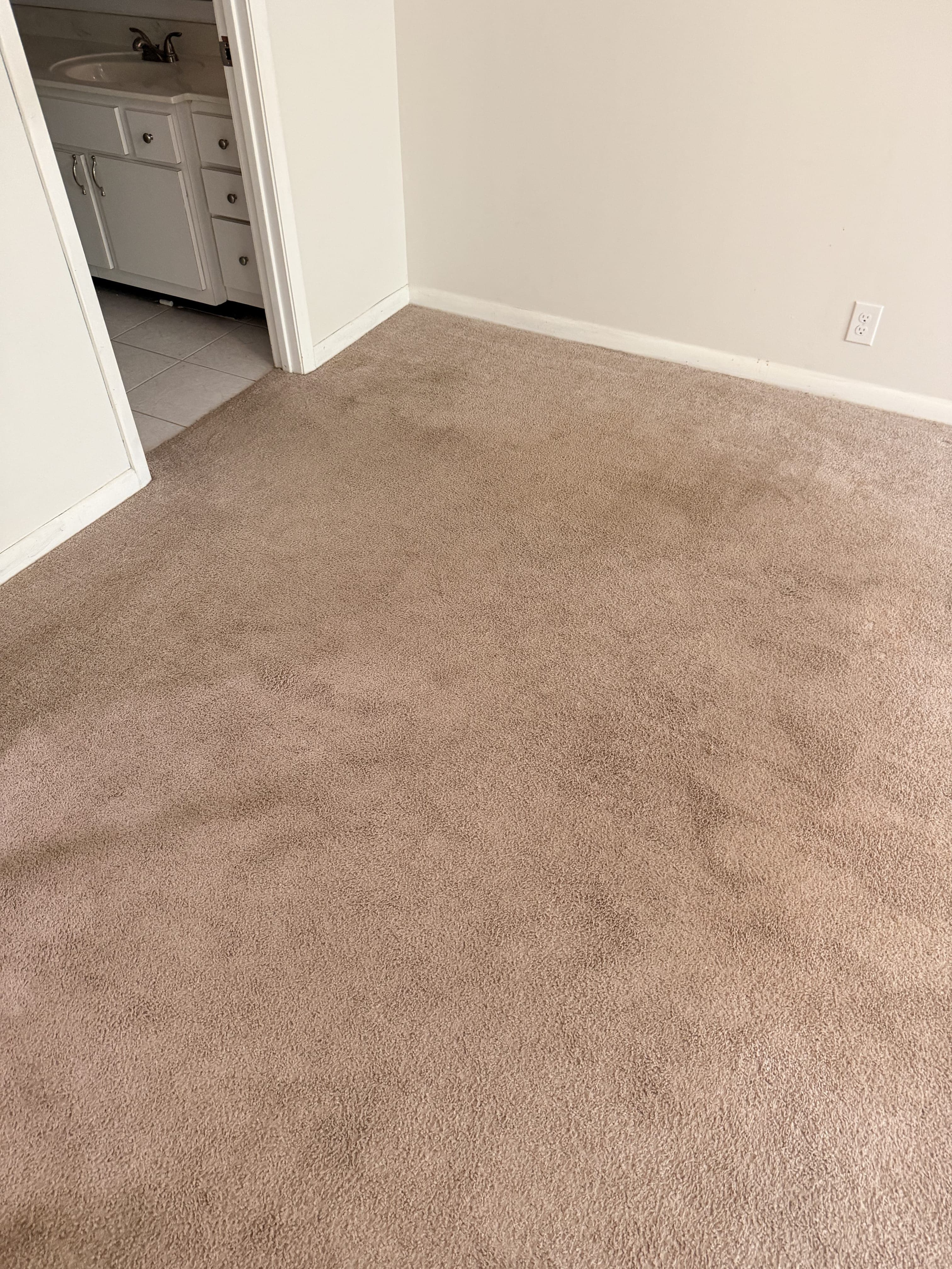 Pet odor and stain carpet before cleaning in Jacksonville, FL