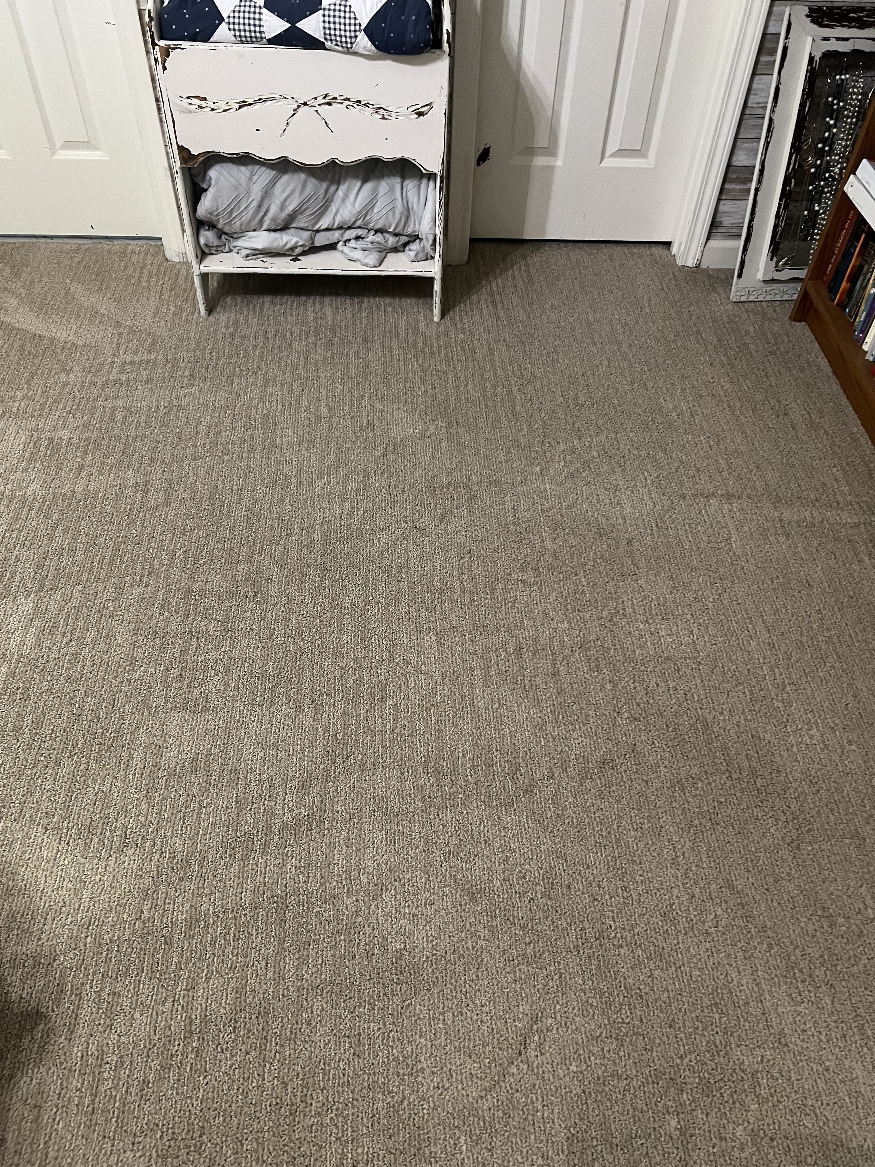 Pet urine stain on carpet after cleaning in Jacksonville, FL