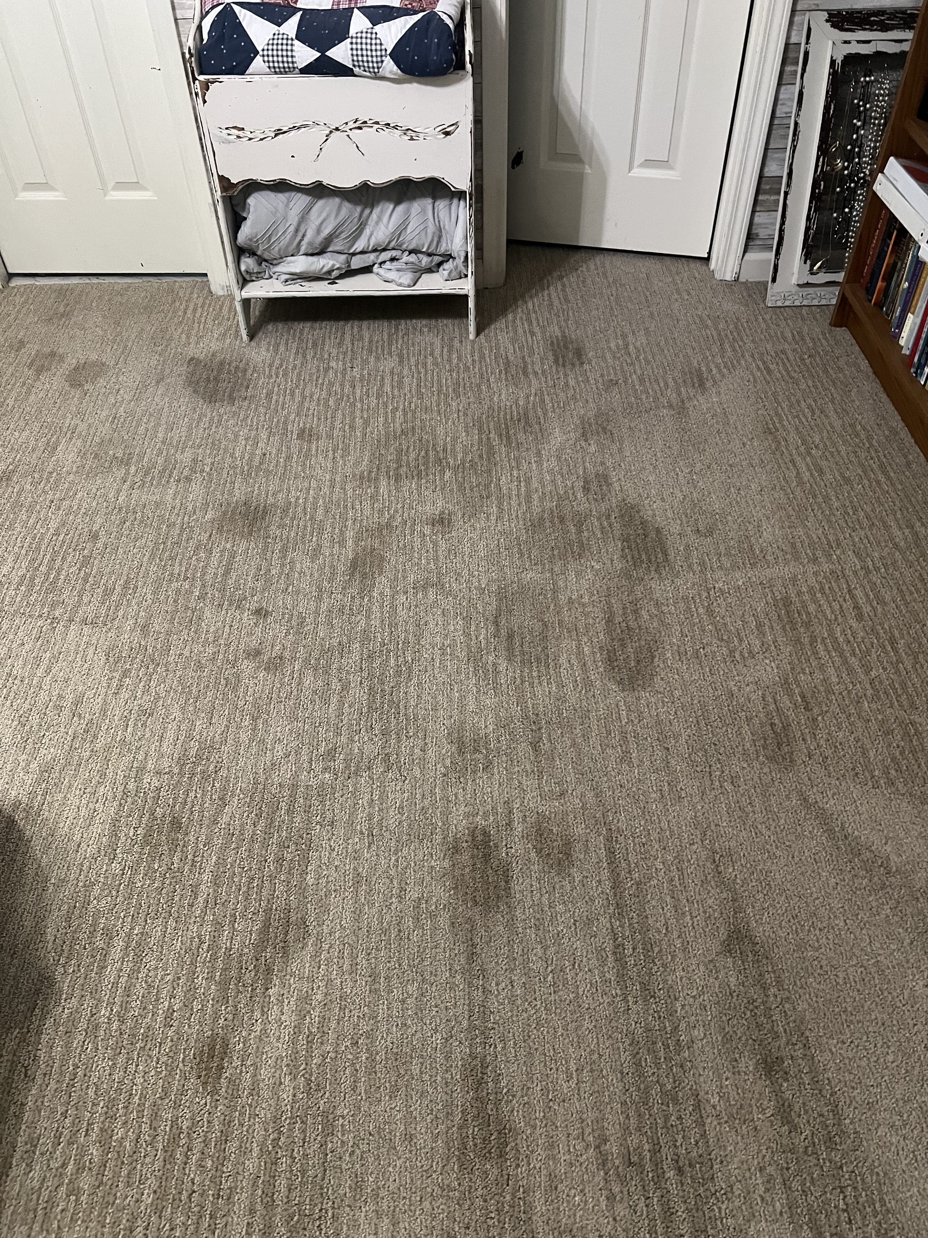 Pet urine stain on carpet before cleaning in Jacksonville, FL