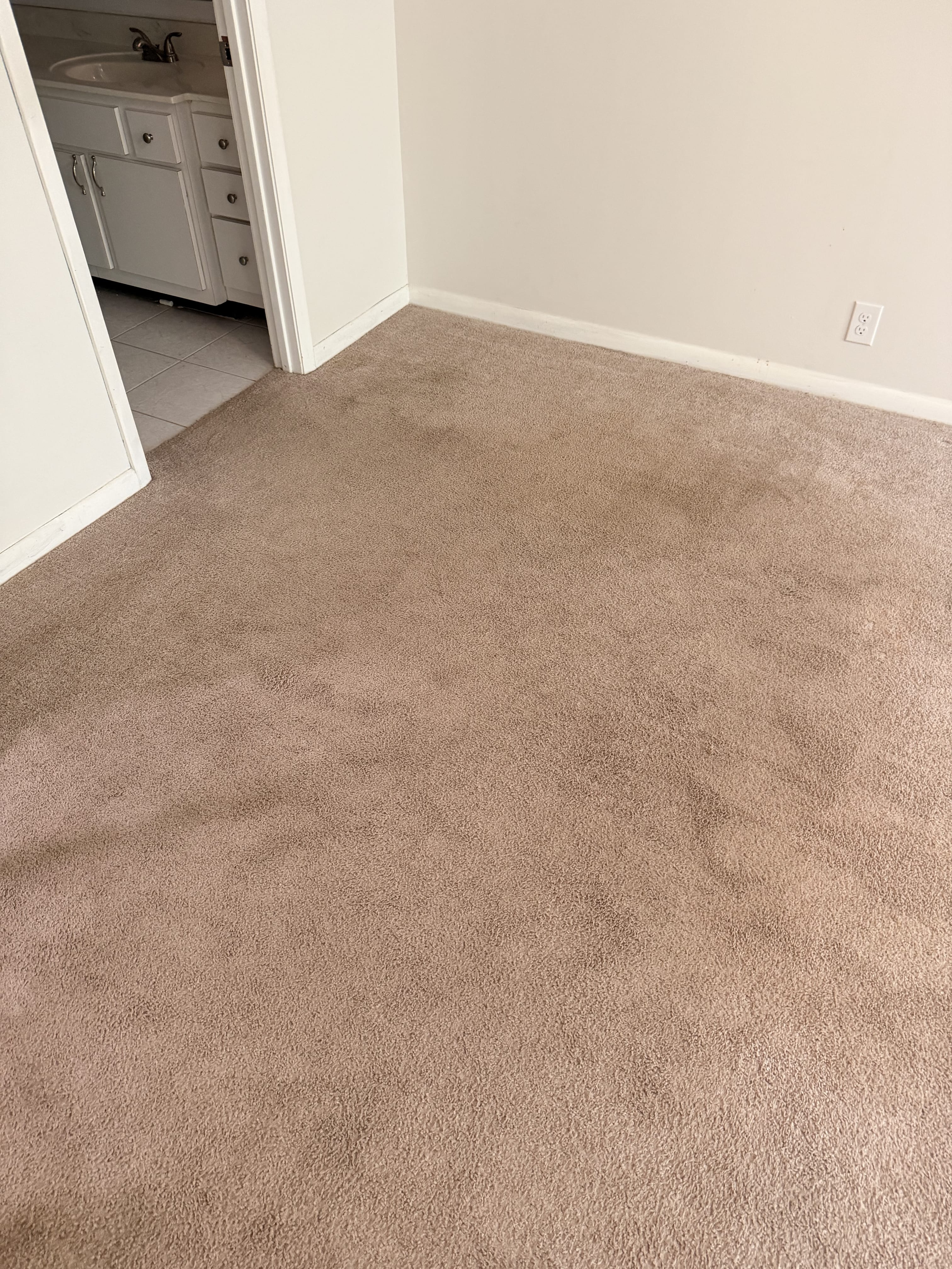 Pet odor and stain carpet before cleaning in Jacksonville, FL